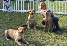 Paws K9 Liberty