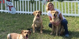 Paws K9 Liberty