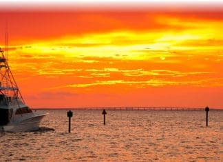 Bay Life Sunset