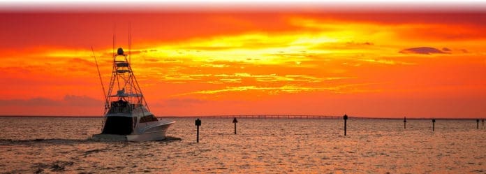 Bay Life Sunset