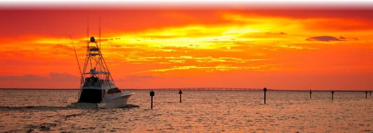Happenings Around the Bay September 2020