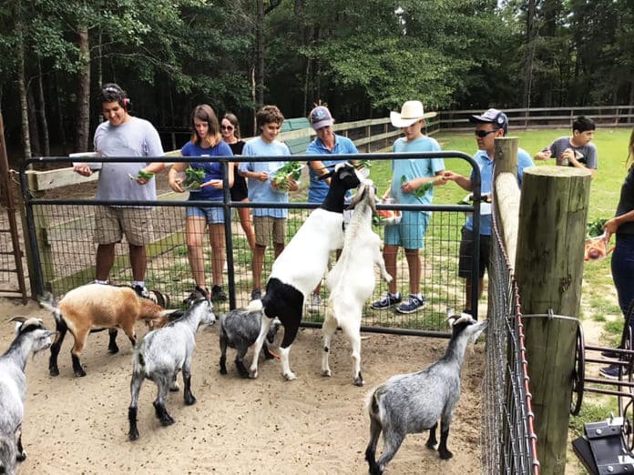 westonwood westonwood ranch goats