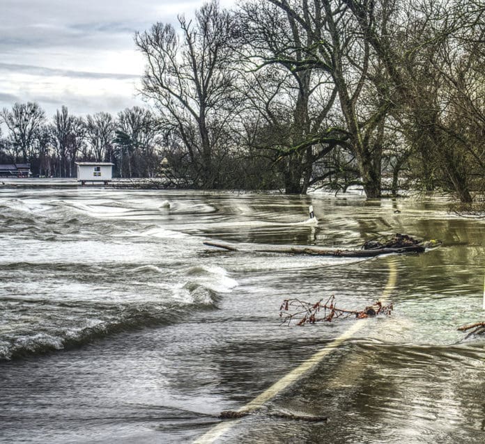 IZ flood