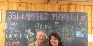 Bay Buzz 331 Farmers Market