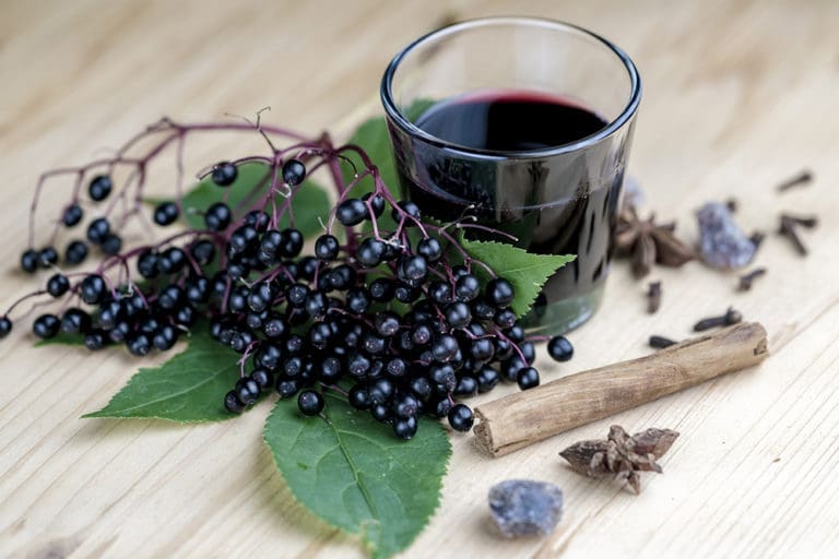 Ask Dr. Marty: Immune System Strength