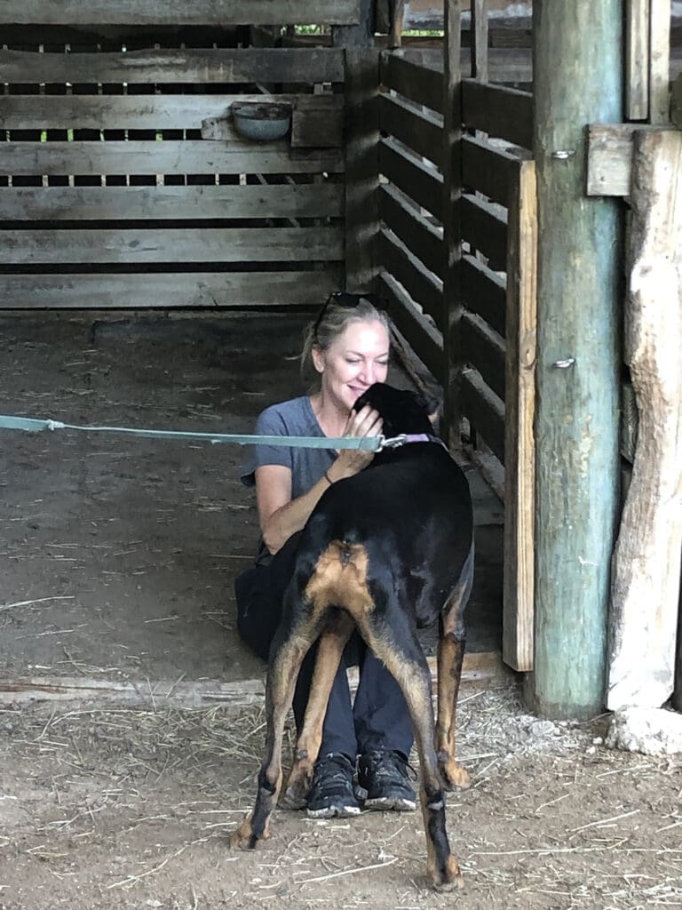 One Year Later, Alaqua Animal Refuge Provides Healing and Care for Hurricane Dorian Survivors