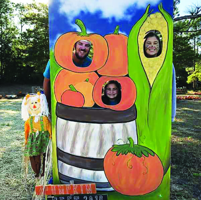 valparaiso-pumpkin-patch-face-holes-scene
