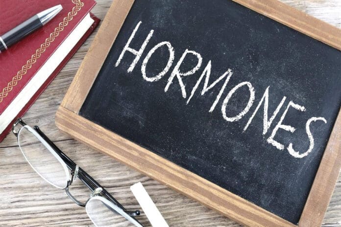 hormone therapy hormone therapy