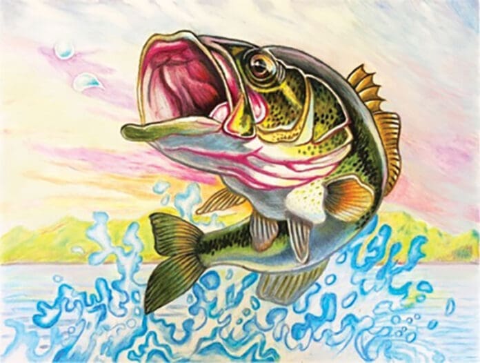 Fish Art Contest