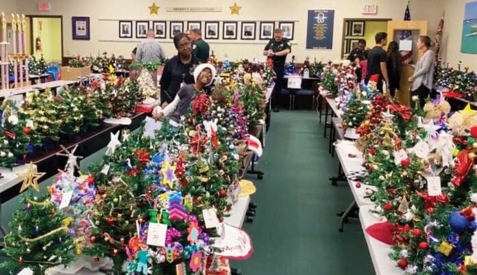 OCSO Trees 2