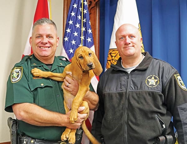 One Year In, Sheriff Aden’s Vision is Well Under Way