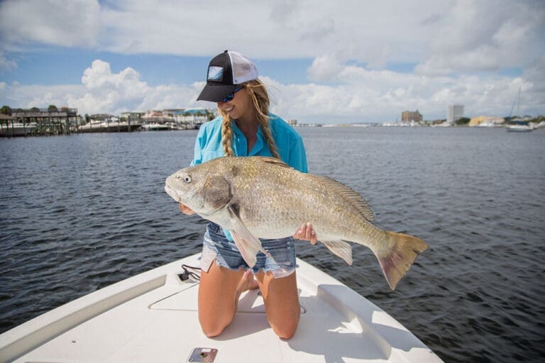 Off the Hook: Black Drum Fishing
