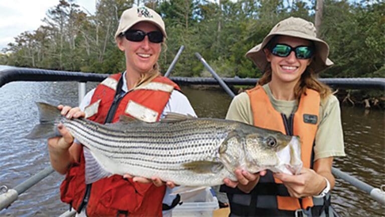 Freshwater Fishing in our Area