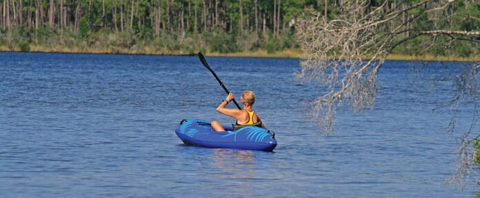 Fred Gannon Rocky Bayou