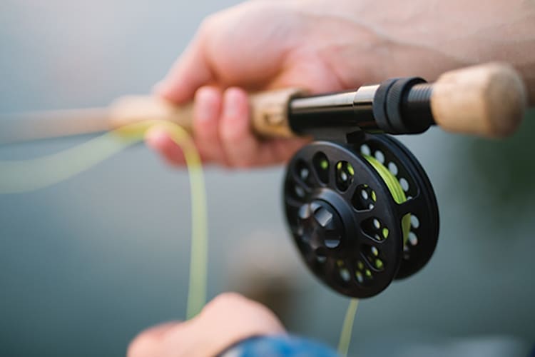 Journey Bravely: Where Are You Fishing?