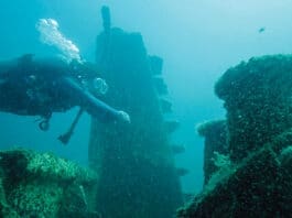 reef diver courtesy fwb destin 2