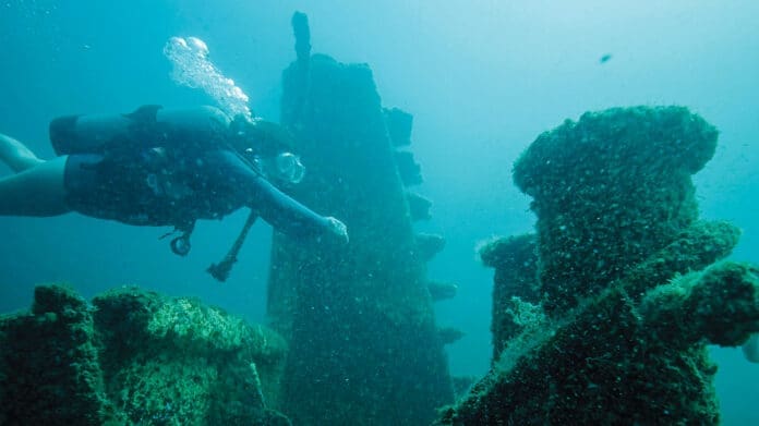 reef diver courtesy fwb destin 2