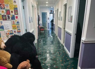 Niceville Children’s Advocacy Center Damaged