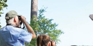 Choctawhatchee Audubon Society Bird Watching