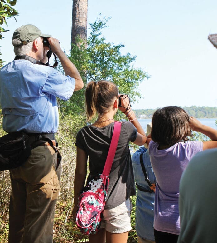 Choctawhatchee Audubon Society Bird Watching