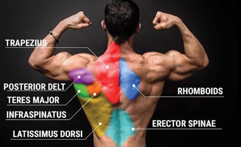 Do It Right! Sexy Back