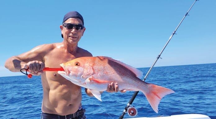 SNAPPER JULY 1