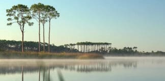 scenic south walton lake