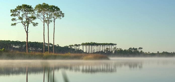 scenic south walton lake
