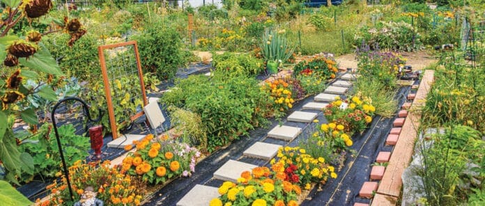 feature-cultivating-community-gardens