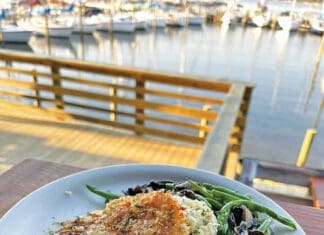 LJ Schooners grouper