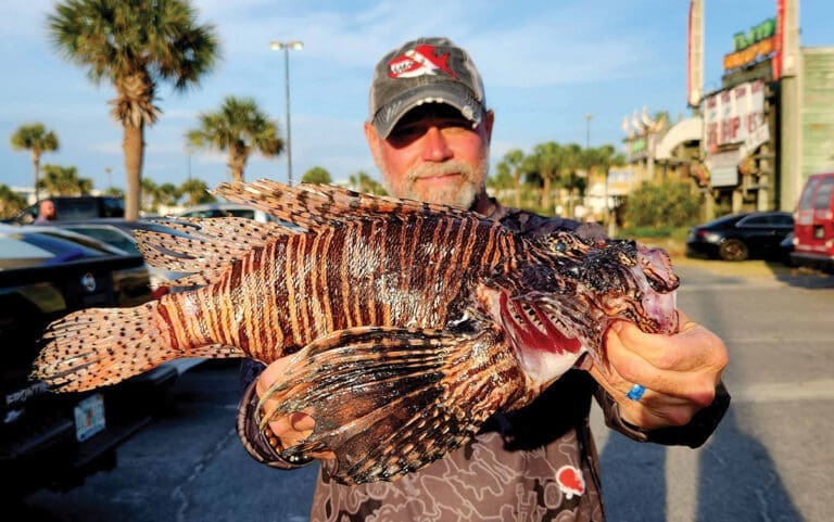 Divers Set New Records at World’s Largest Lionfish Tourney