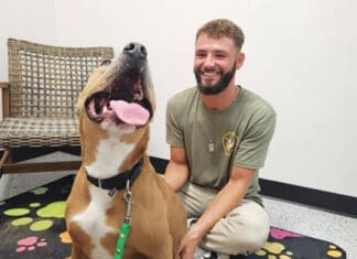 Hometown Pet Heroes: Shelter Dogs Find Loving Homes After Lengthy Waits