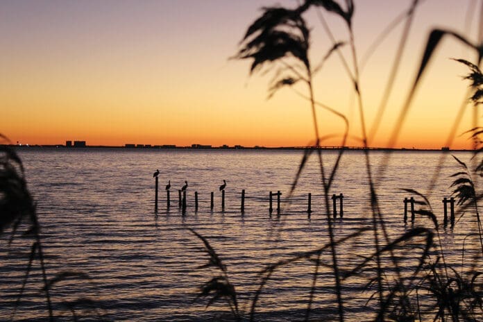 Choctawhatchee Bay sunset Choctawhatchee Bay sunset