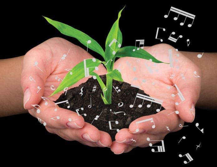 Studio 237 Music Lessons art