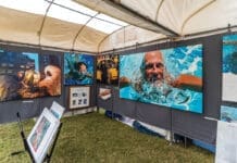 MKAF Call to Artists for 29th Festival of The Arts