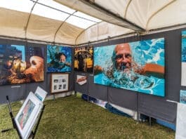 MKAF Call to Artists for 29th Festival of The Arts