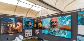 MKAF Call to Artists for 29th Festival of The Arts