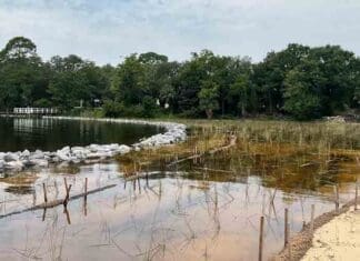 boggy bayou headwaters