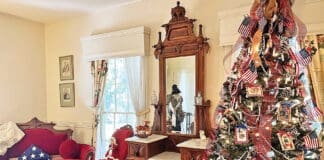 Eden Gardens Christmas