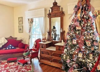 Eden Gardens Christmas