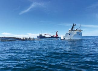 Artificial Reef Deep SIM III