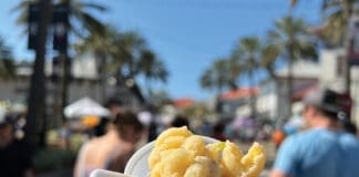 Mac and Cheese Festival