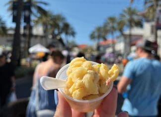 Mac and Cheese Festival