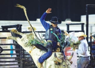 Westonwood Ranch Rodeo bull
