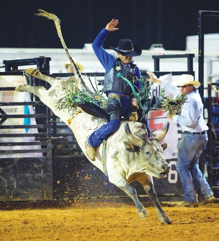Westonwood Ranch Rodeo bull