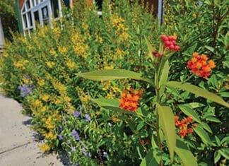 Walton County Master Gardeners Receive Coveted Legacy Award