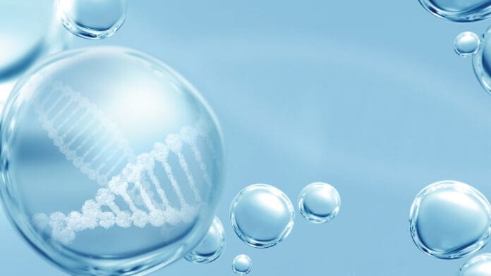 Stem Cell Activation