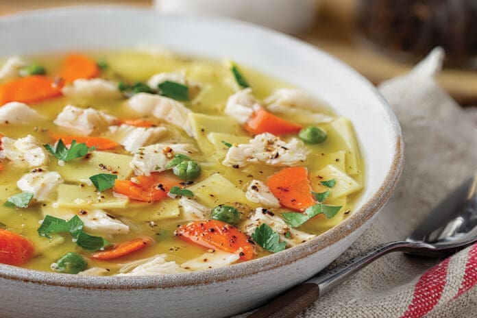 Bowl of Chicken Noodle Soup