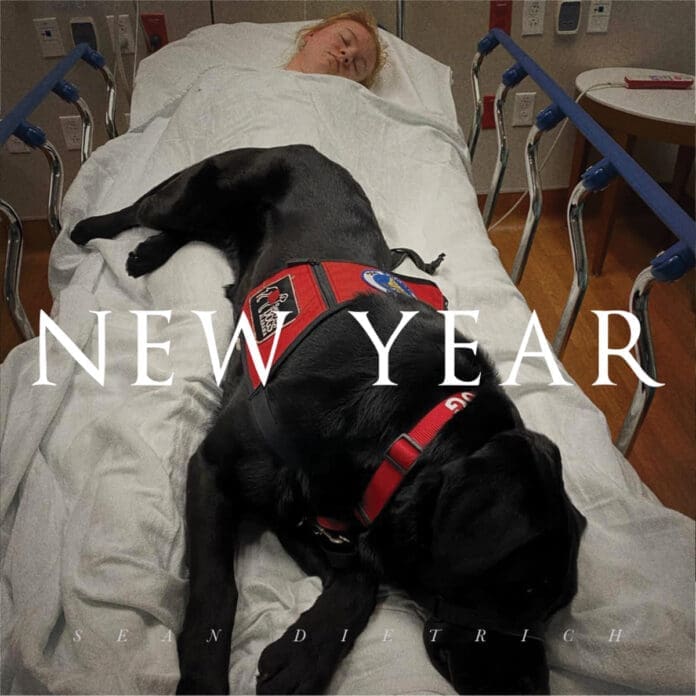 Sean Dietrich New Year