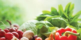 fresh organic vegetables